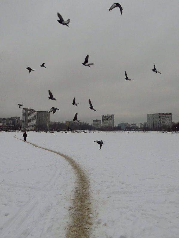 Пусть летят они, летят - Андрей Лукьянов