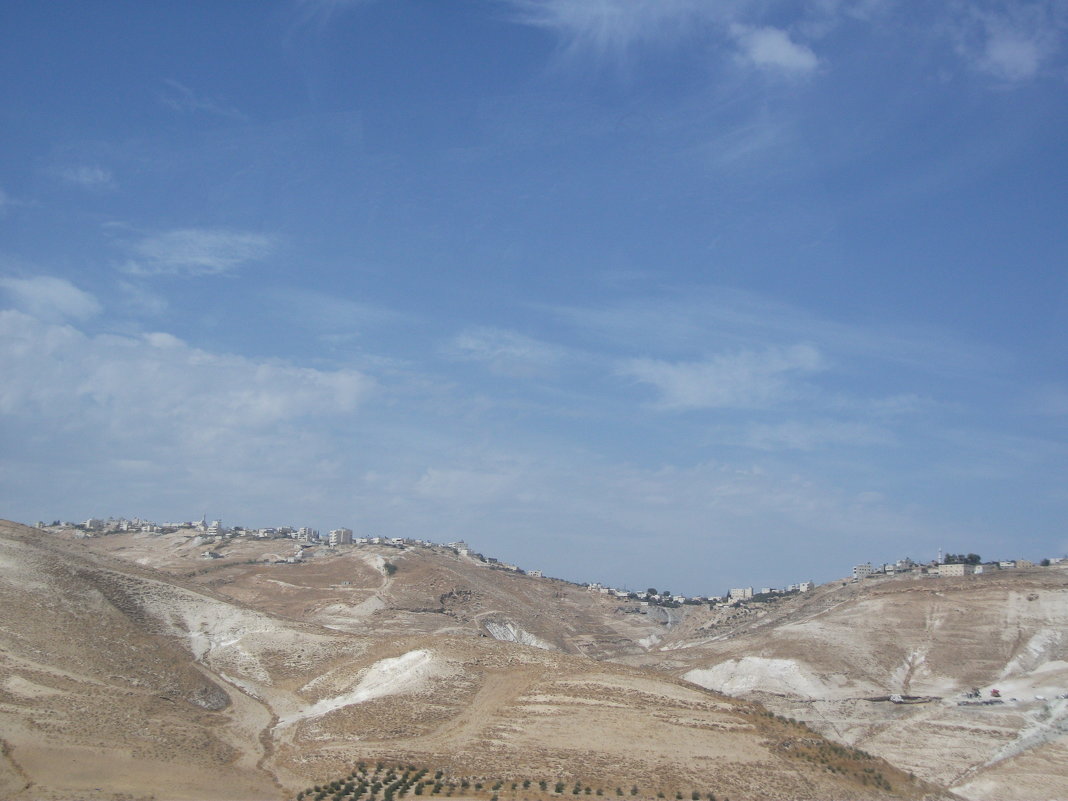 ландшафты Израиля - Елена Шидловская