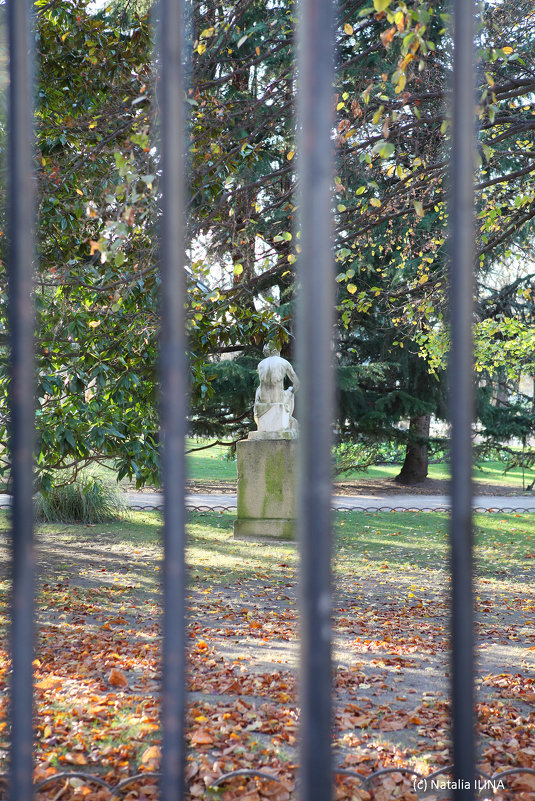 Сад Люксембург - Фотограф в Париже, Франции Наталья Ильина