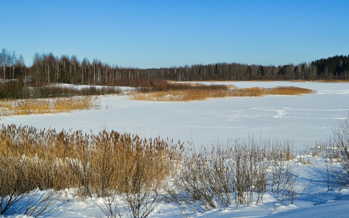 Следы на замёрзшем озере - Милешкин Владимир Алексеевич 