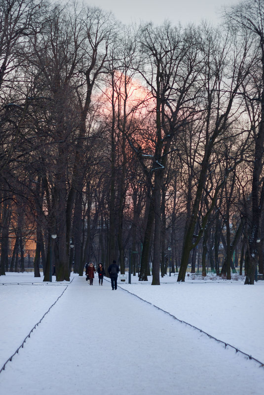 Зима в Михайловском саду - Aнна Зарубина