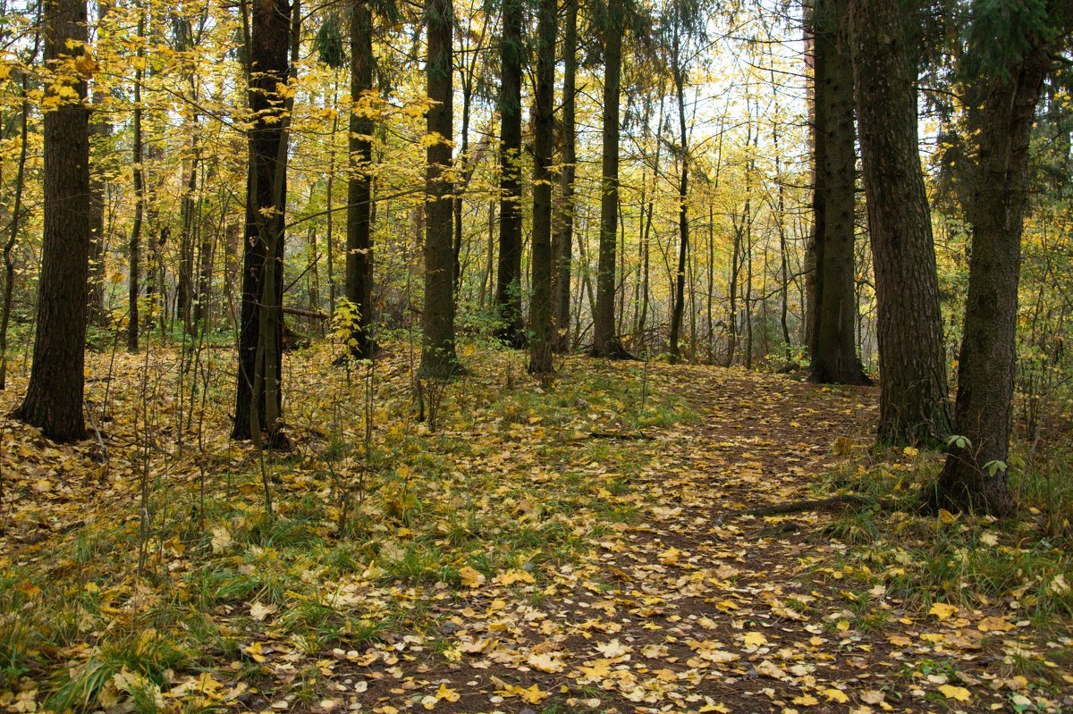 -- - Александр Малюгин