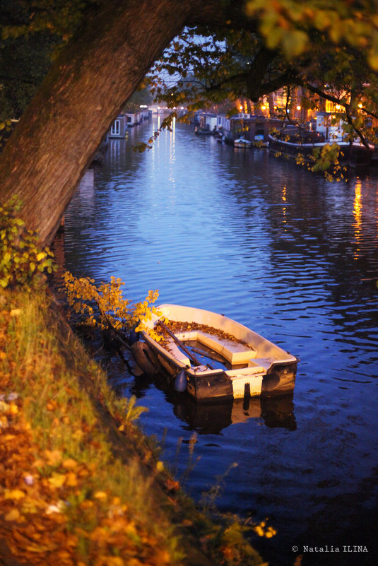 Осеннее утро в Амстердаме - Фотограф в Париже, Франции Наталья Ильина