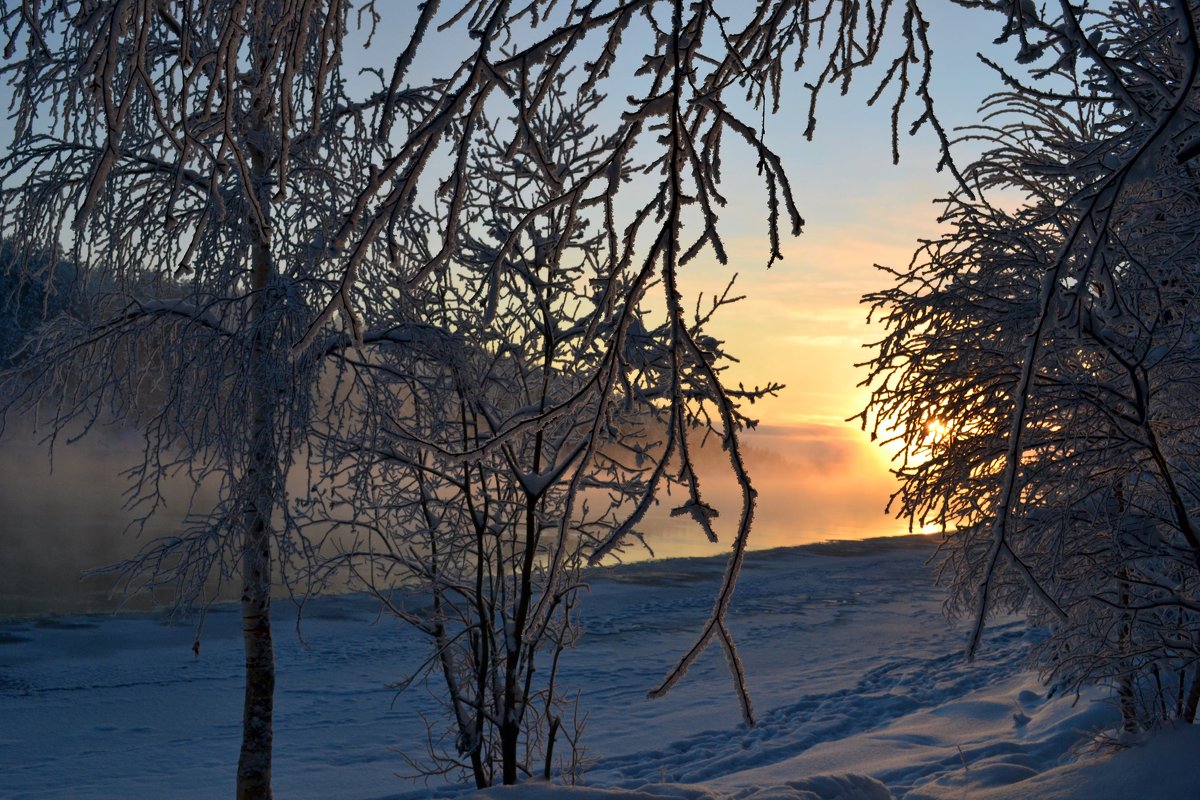 Зима в тумане - Ольга 