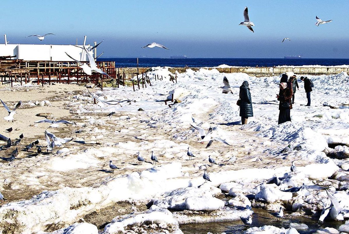 прогулки к морю - Александр Корчемный