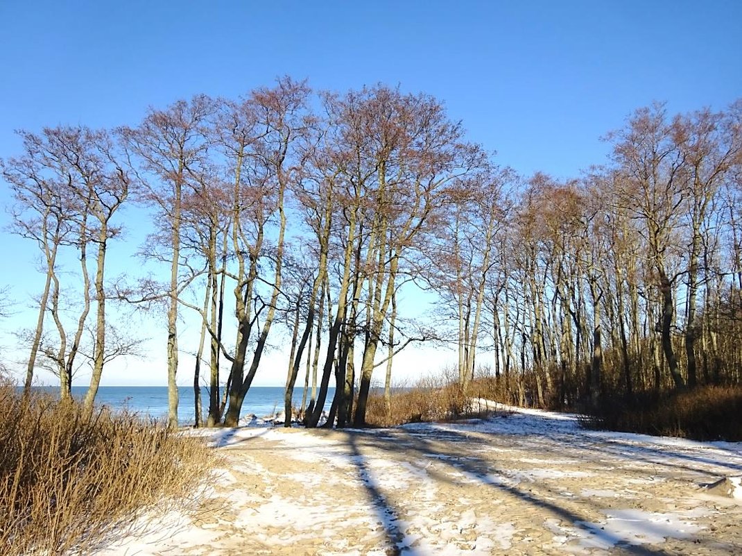 На высоком берегу моря - Маргарита Батырева