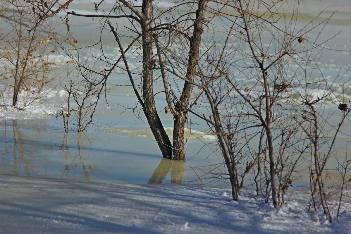 За городом - Марина Мишутина