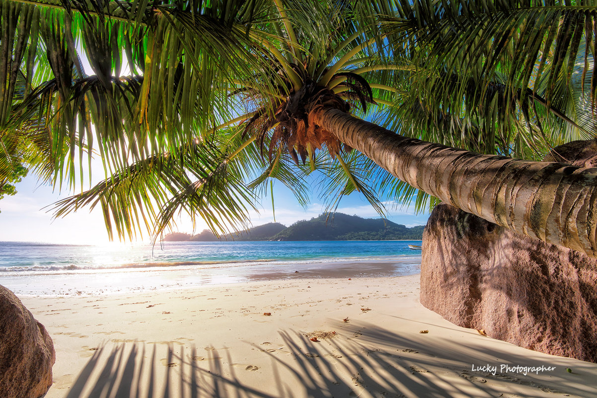 Tropical island - Lucky Photographer