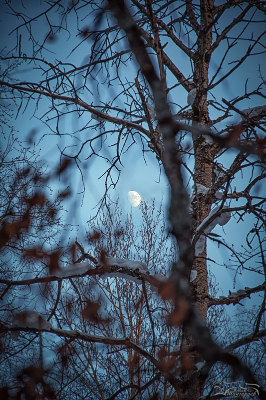 Одинокая луна - Ильдар Шангараев