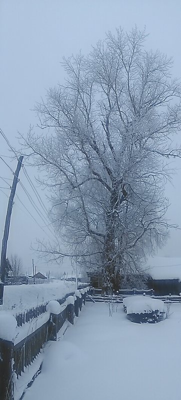 Зима.2017 - Артём Бояринцев