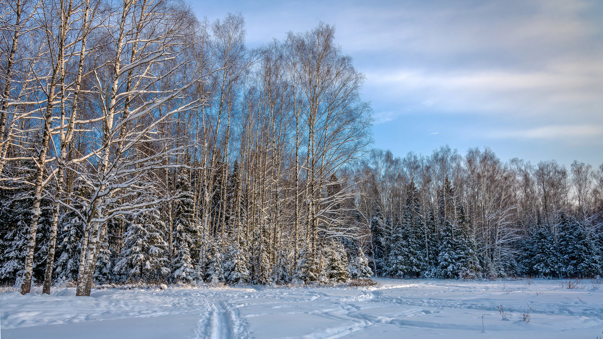 Зимние пейзажи - Владимир Лазарев