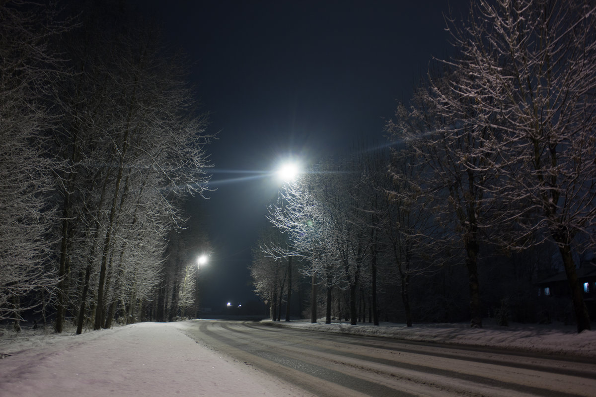 Зимняя ночь - Алёнка Шапран