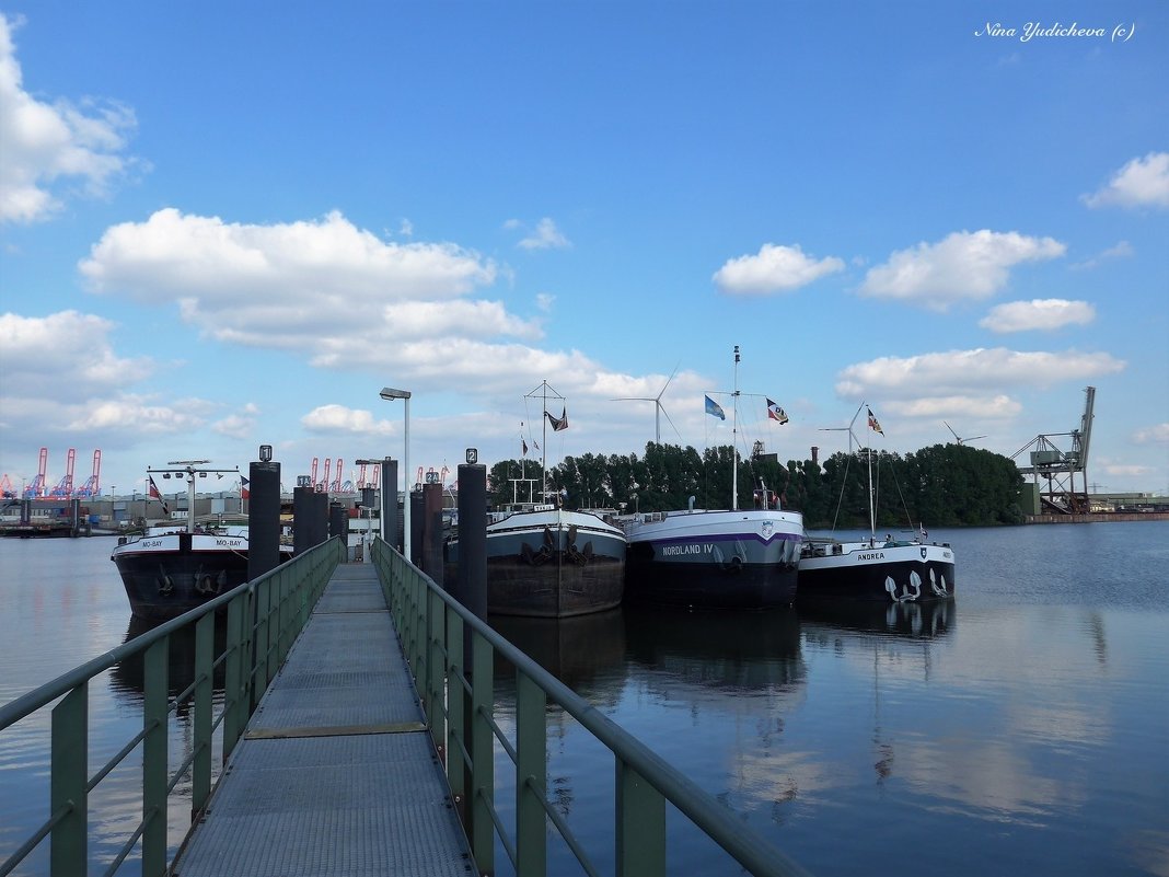 Hamburg. Finkenwerder - Nina Yudicheva