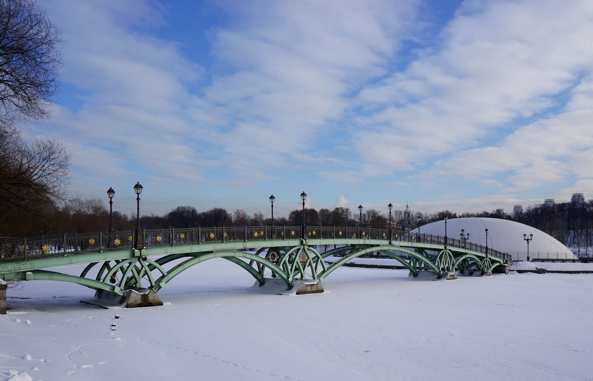 Зима в парке - Ольга 