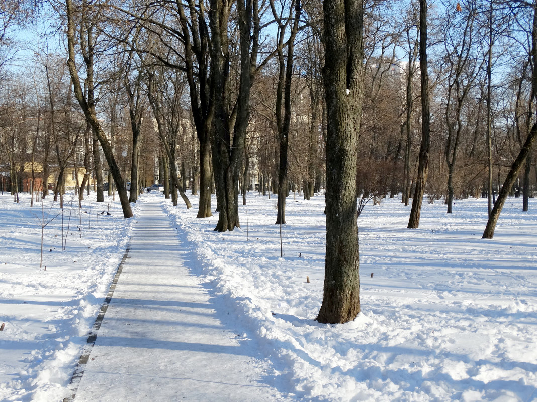 Зима в парке... - Тамара (st.tamara)