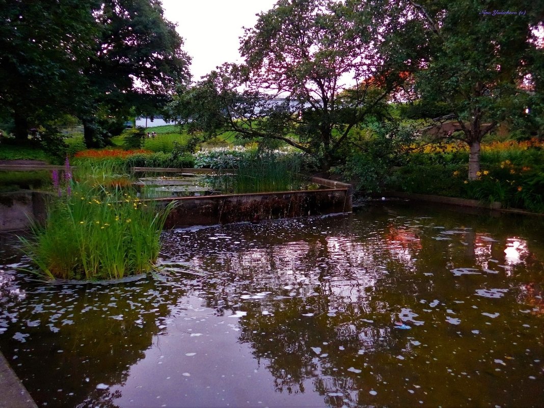 Planten un Blomen. Hamburg - Nina Yudicheva