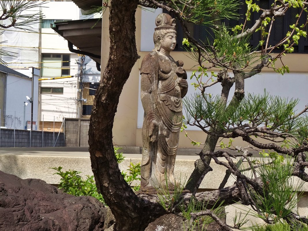 Скульптура Храма Seishuji - wea *