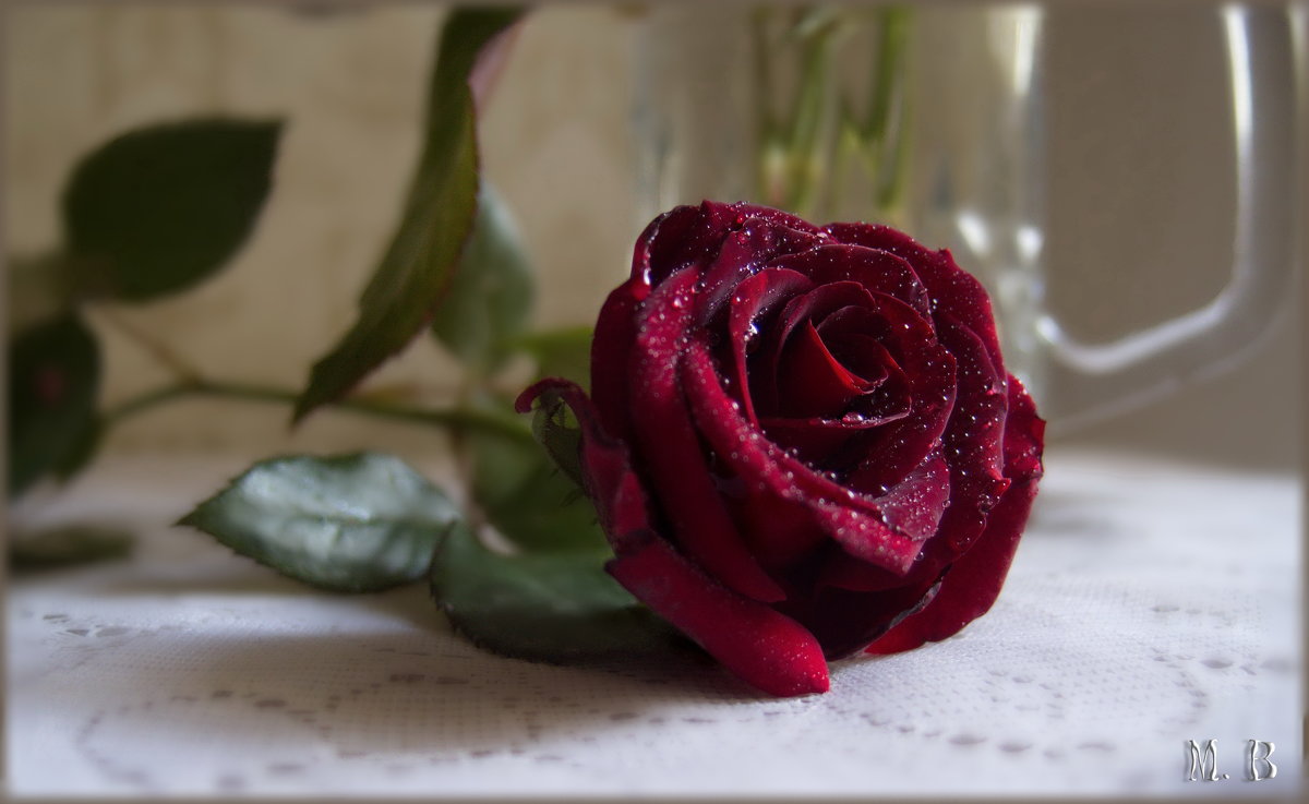 Красная роза, как яркое скерцо... - Людмила Богданова (Скачко)
