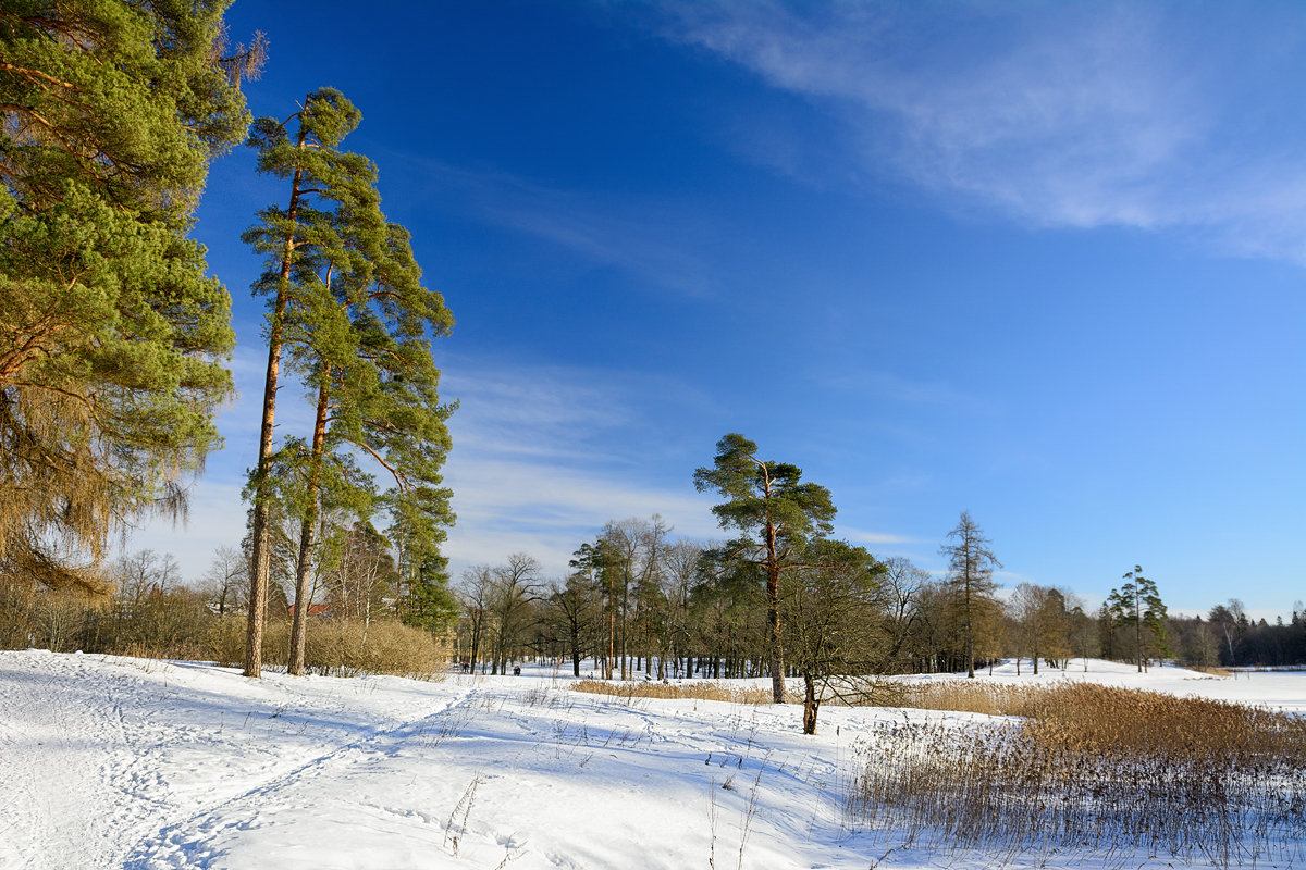 Зимний пейзаж - константин Меркулов