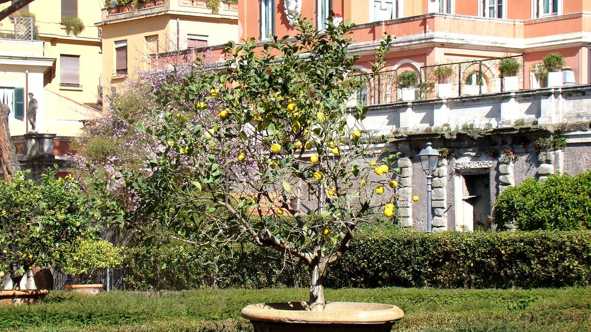 Весенний Рим - Veselina *
