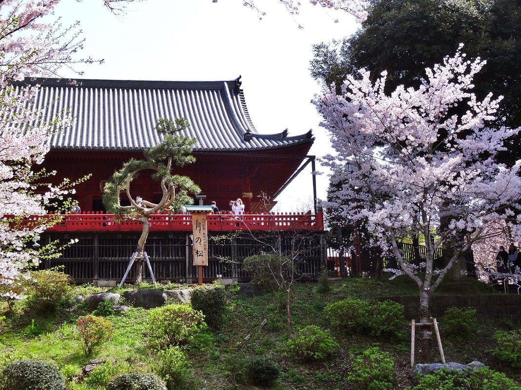 Храм Kiyomizu Kannondō Токио - wea *