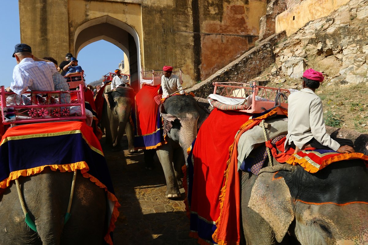 катание на слонах в городе Амбер в Индии - vasya-starik Старик