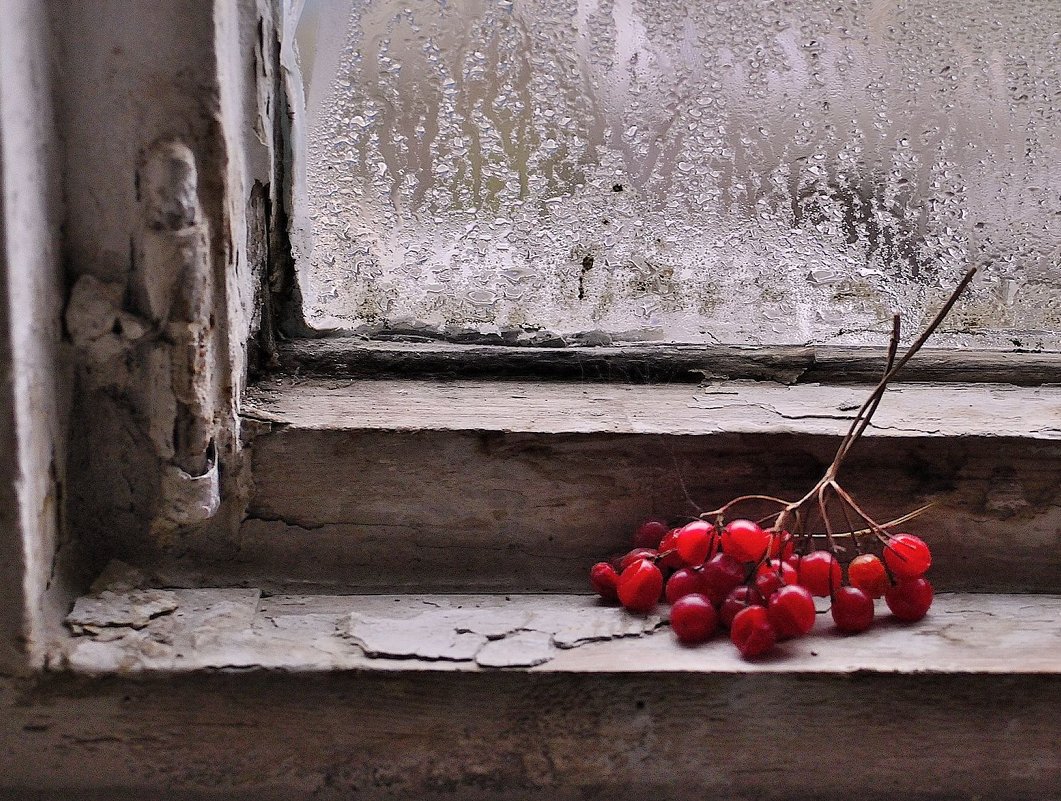 an old window - Бармалей ин юэй 