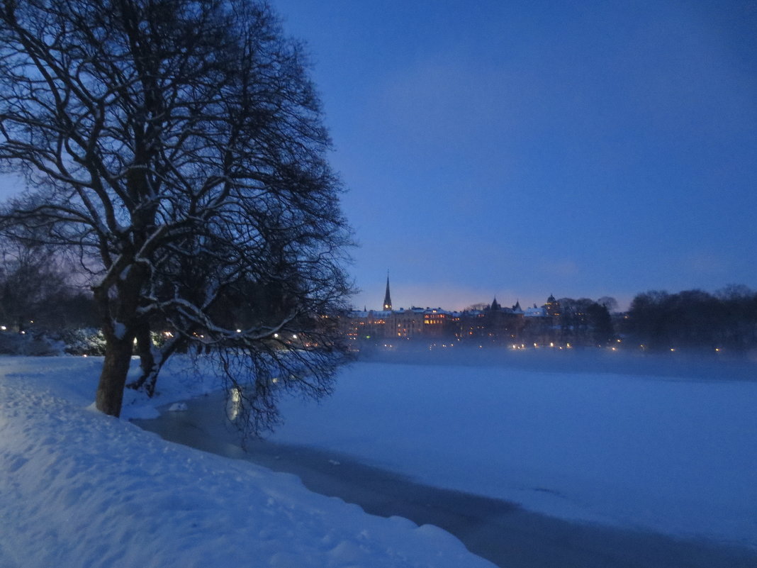 Зимний туман в Стокгольме - Елена 