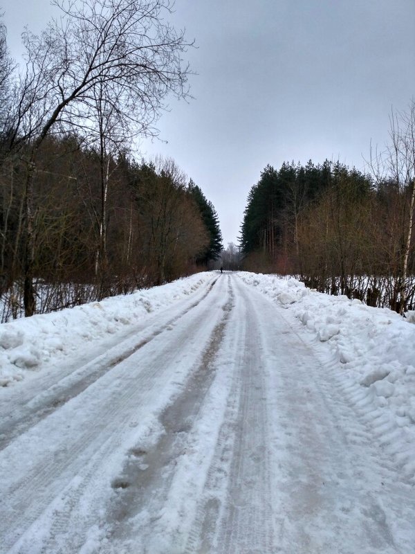 05.03.2017 - Светлана 