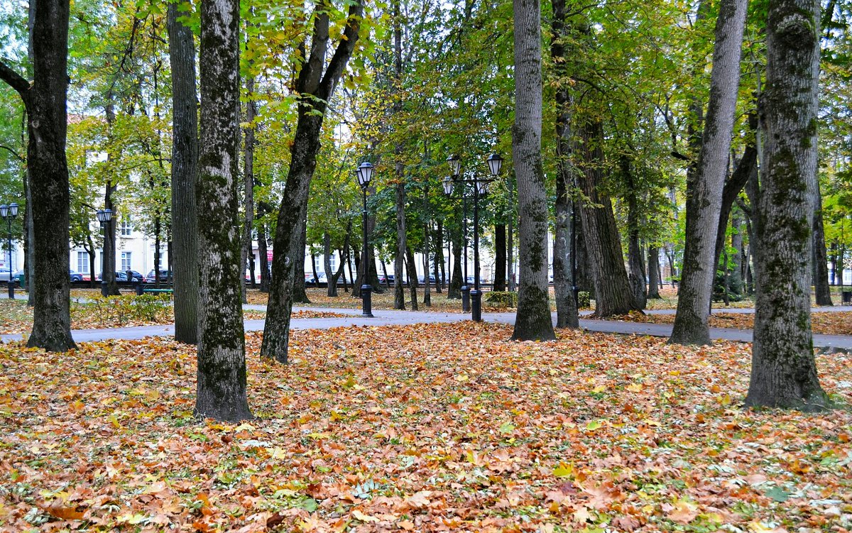 Осень в городе - Милешкин Владимир Алексеевич 