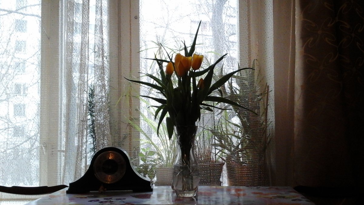 Жёлтые тюльпаны - Дмитрий Никитин