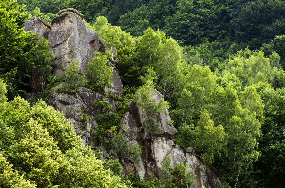 *** - Віктор .