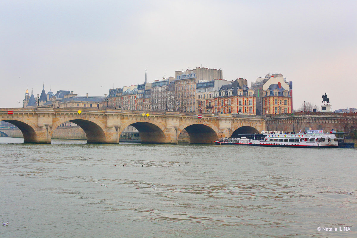 Знаменитый мост Pont NEUF - Фотограф в Париже, Франции Наталья Ильина