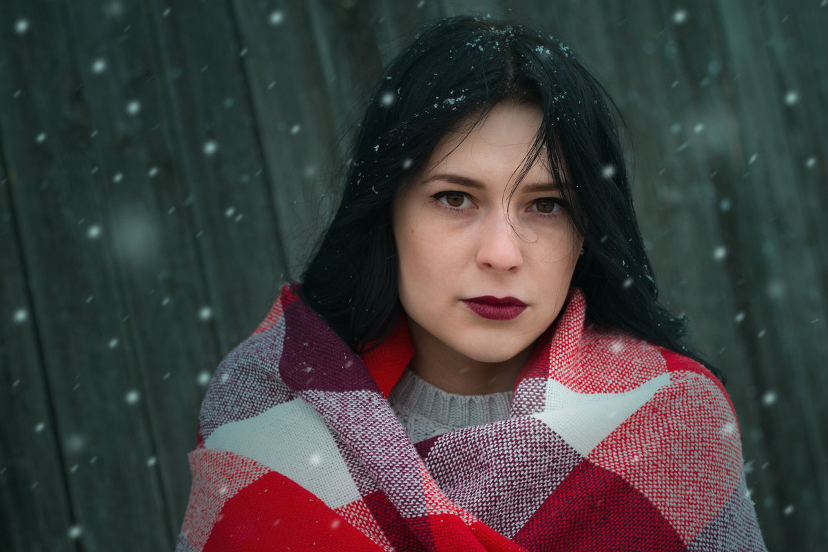 Snow-covered beauty ( Заснеженная красота) - Алексей Терехов
