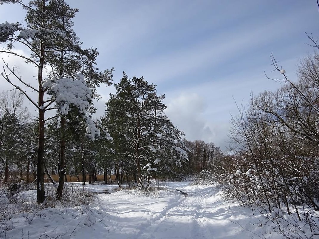 Побережье Балтийского моря после мартовского снегопада - Маргарита Батырева