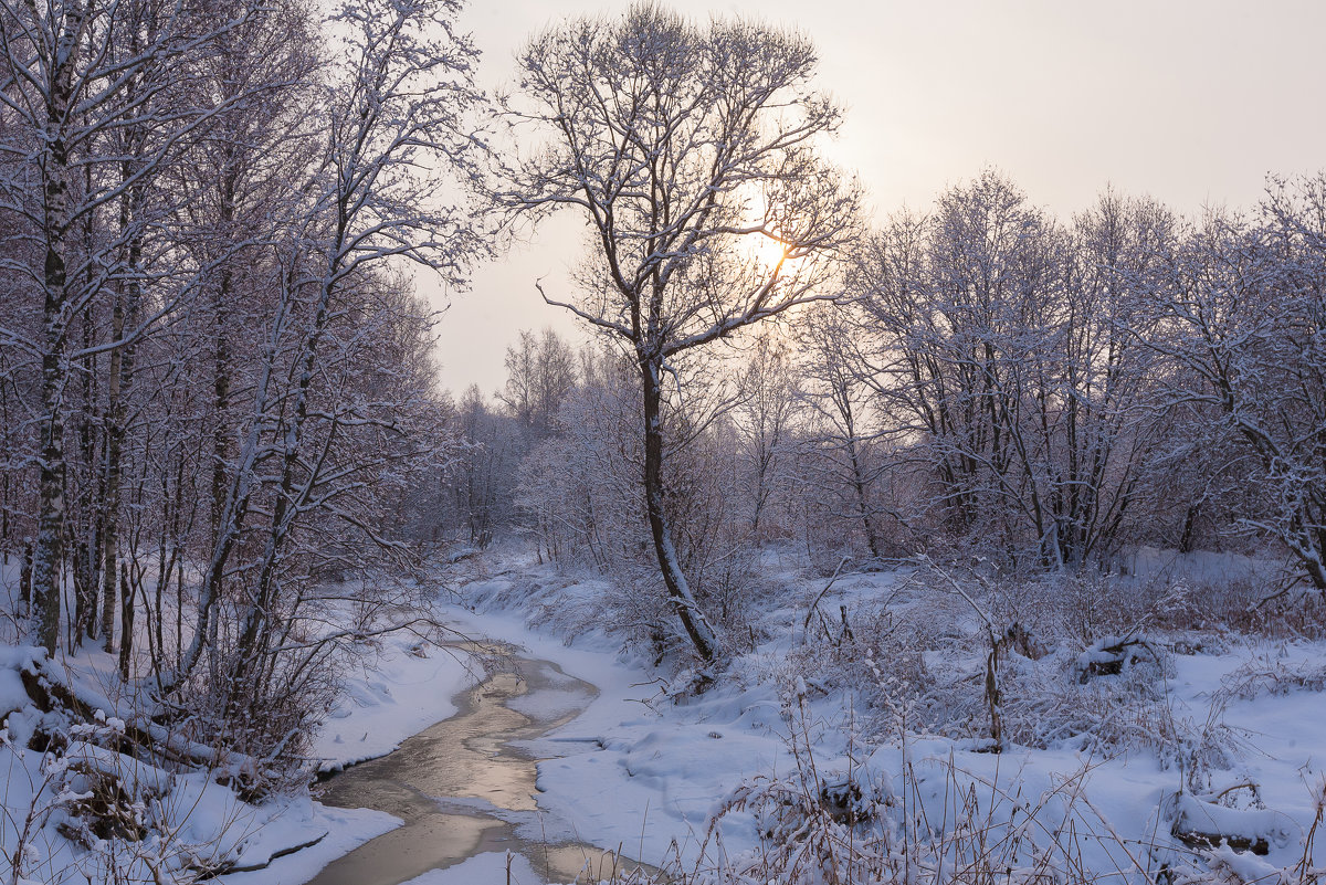 Зимний пейзаж - Анна 