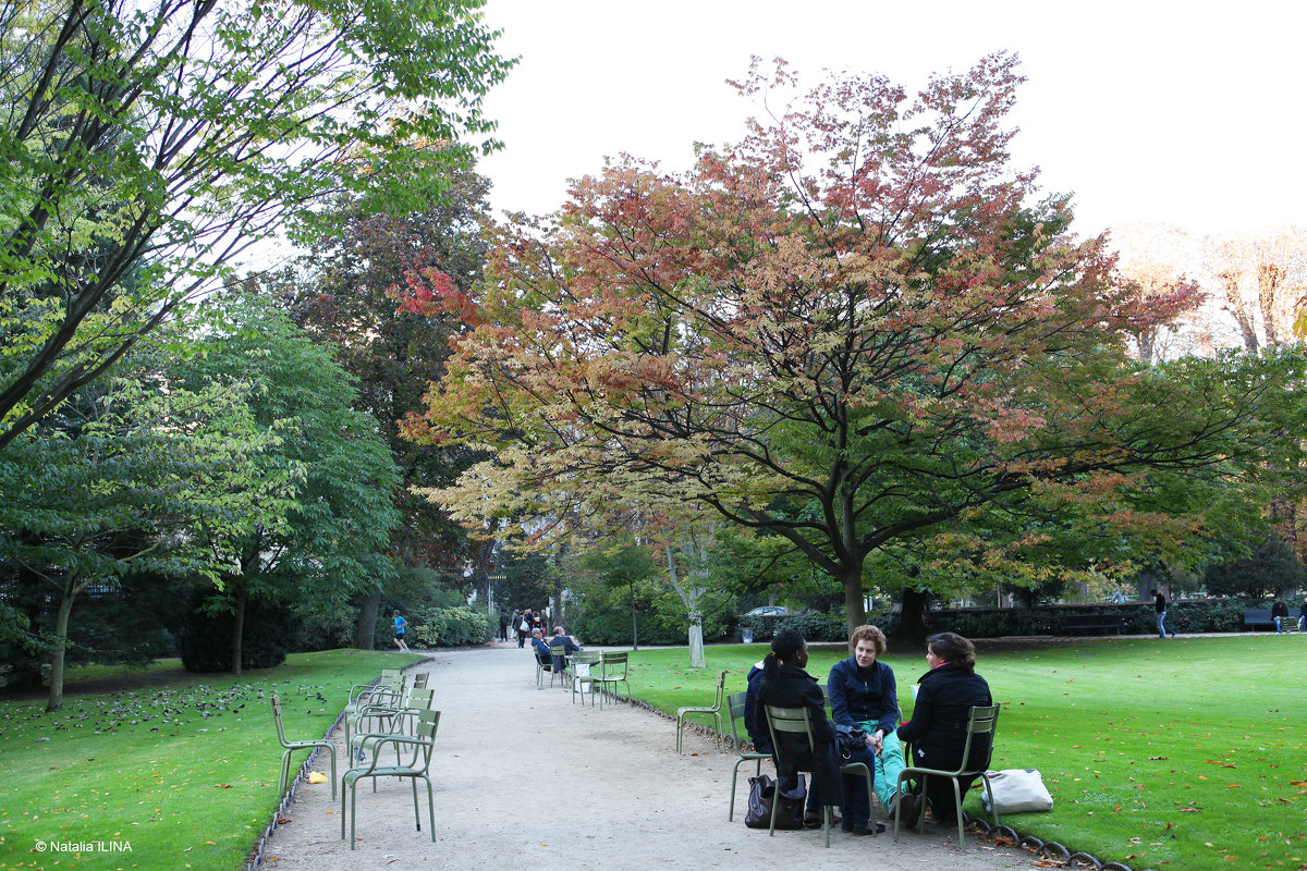 Обычный день студентов в Люксембургском саду. - Фотограф в Париже, Франции Наталья Ильина