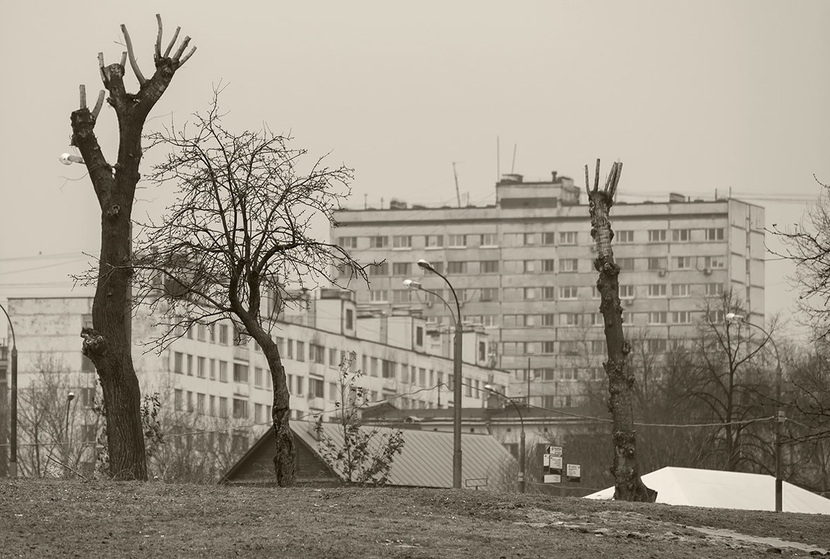 Коломенское, Москва - Игорь Герман