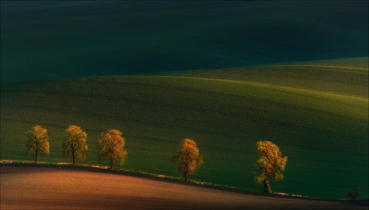 Shadows on the fields.... - Влад Соколовский