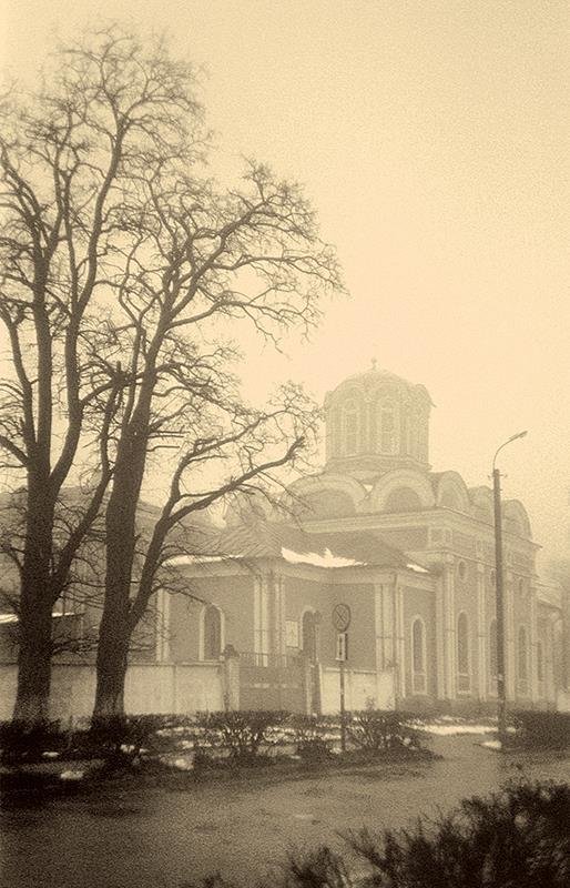 Про раннюю весну - Сергей Тарабара