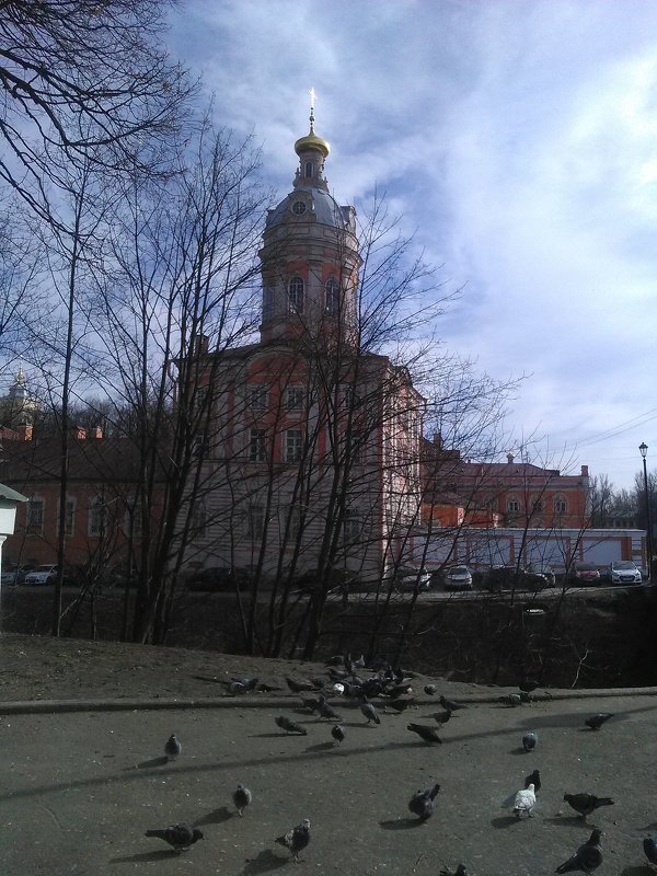 Солнечный день в Александра-Невской Лавре. (Санкт-Петербург). - Светлана Калмыкова