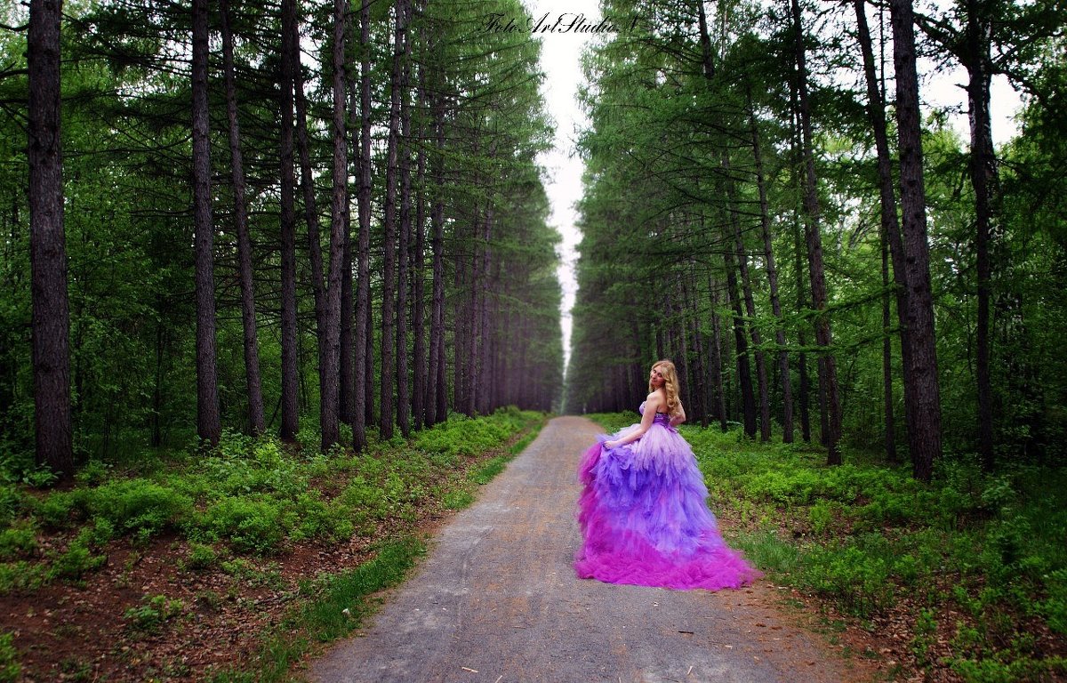 Сказочный лес - Natalia Aleksandrova