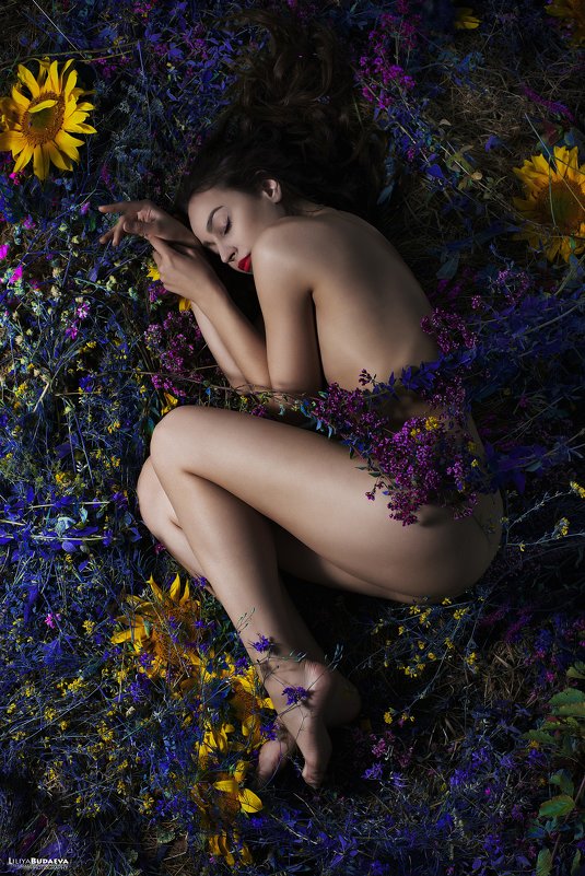Цветочные сны - Лилия Будаева