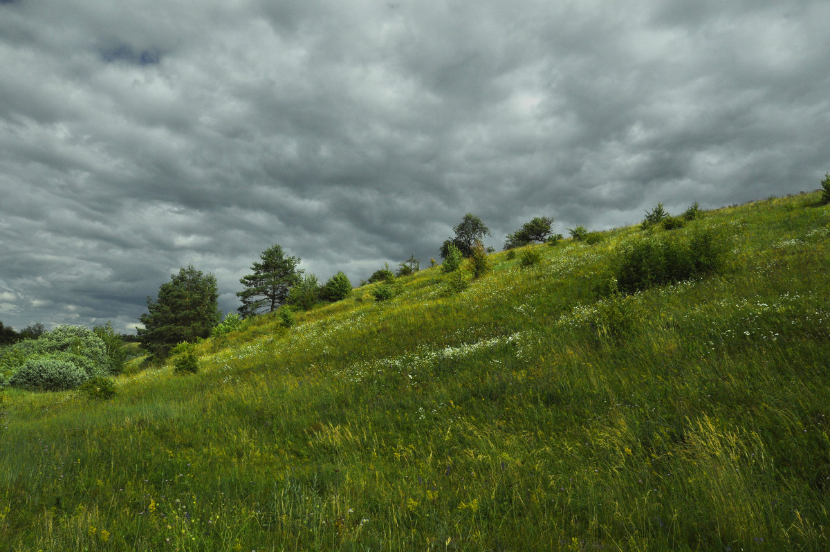 Перед грозой. В лугах.Before the storm. In the meadows. - Юрий Воронов