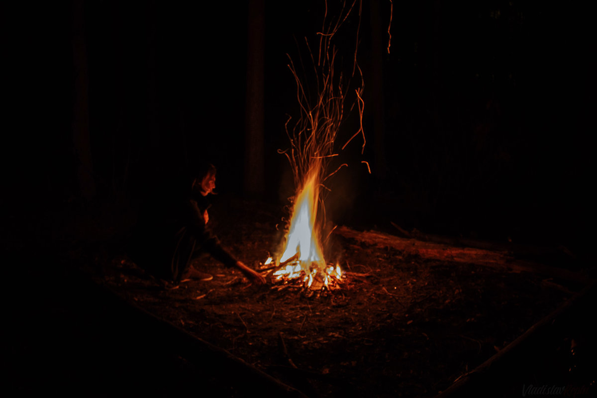 Вечер в лесу - Владислав 