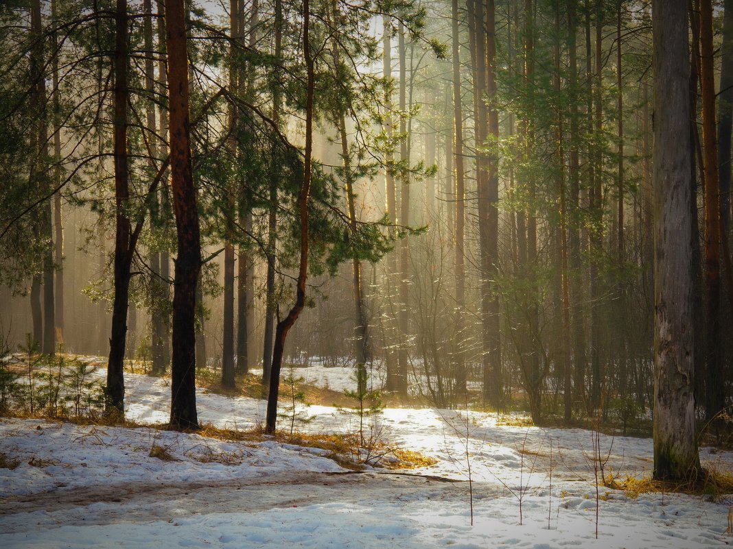 *** - Дмитрий Янтарев