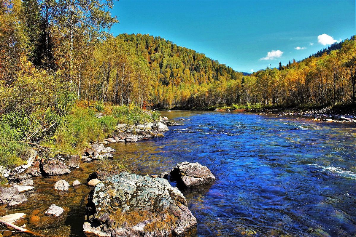 Осень на реке Тумуяс - Сергей Чиняев 