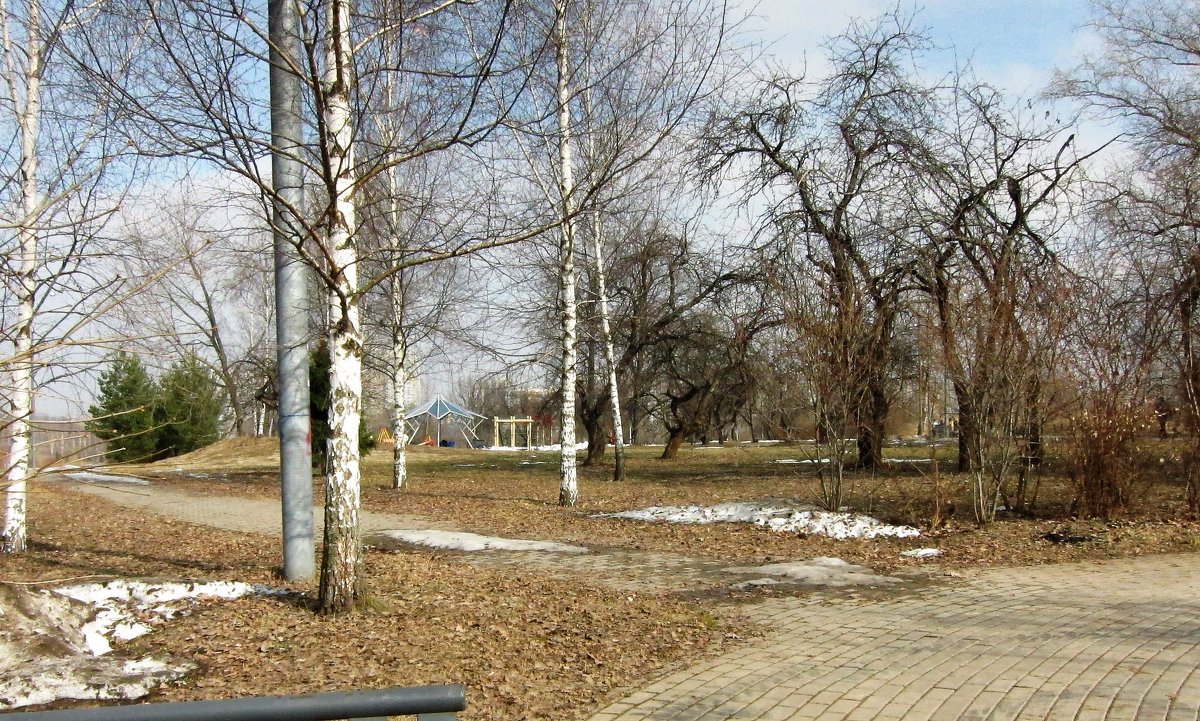 Прогулка в парке - Людмила Монахова