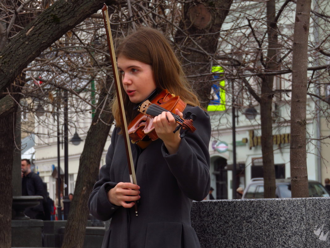 Симпатичная уличная скрипачка - Андрей Лукьянов