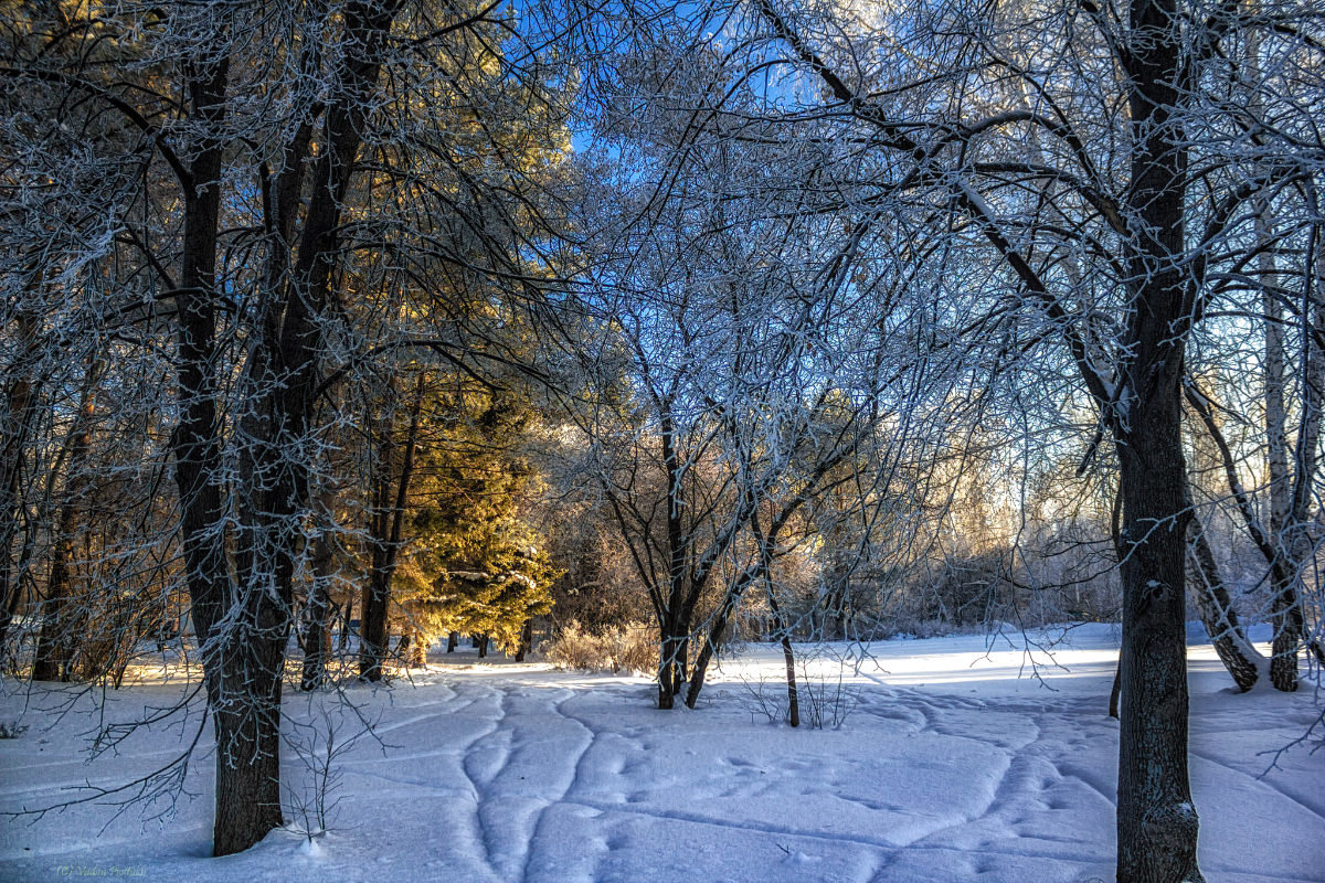 Зимний пейзаж. - Vadim Piottukh 